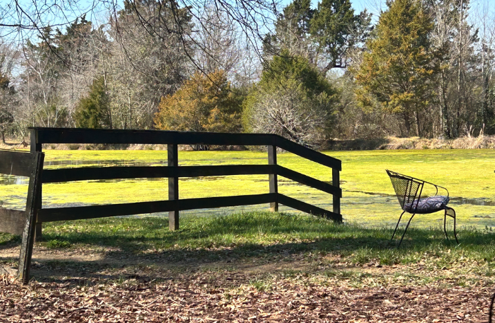 A rustic black wooden fence in the foreground of a grassy field, with a black metal chair on the right and a background of trees under a blue sky.