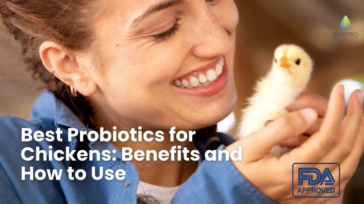 Smiling woman holding a yellow chick, promoting probiotics for chickens with FDA approved logo