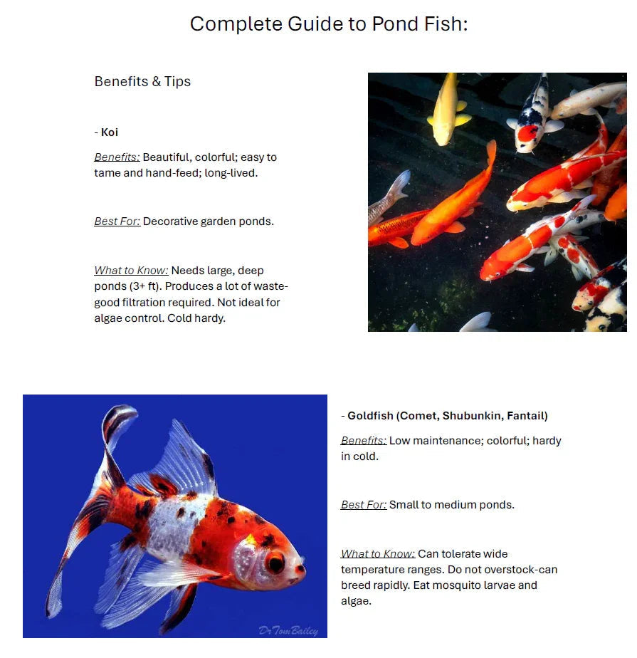 Pair your fish with the right eco-friendly pond treatments, and you’ll be on your way to a thriving, balanced aquatic paradise.