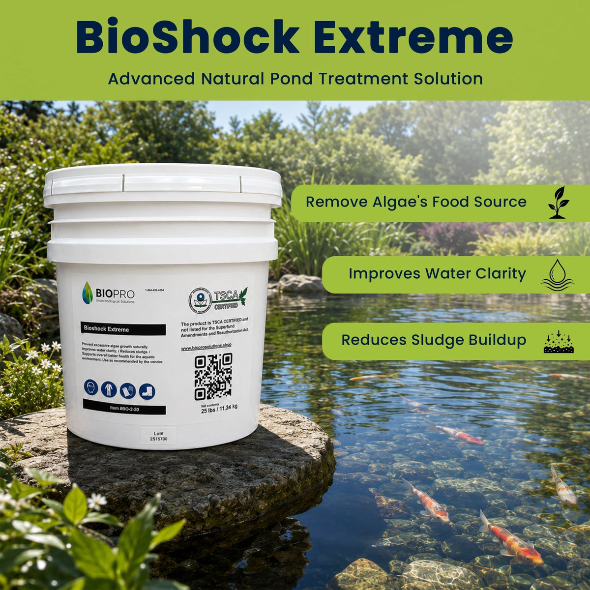Beneficial Bacteria for Ponds | Pond Algae Control
