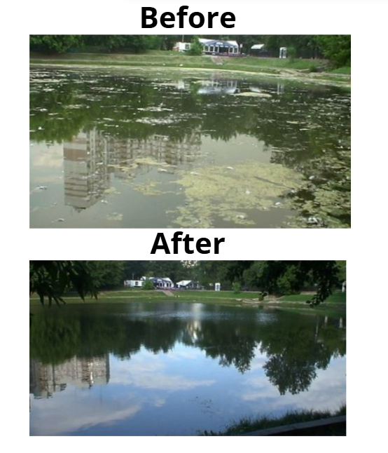 Picture of a pond, green murky water before, after using BioShock Extreme, clear pristine, water.