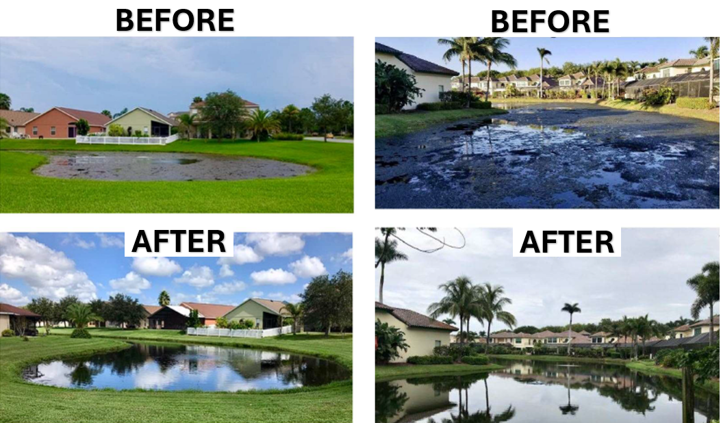 2 Pond transformation, clear water after using BioShock Extreme, cloudy, murky and full of algae Before using product.