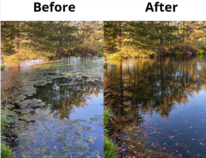 Water before using BioShock Extreme and after using the product looking pristine clear 