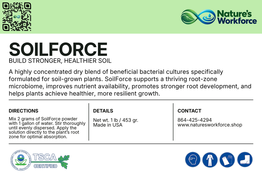Enhancing Plant Nutrient Uptake with Microbial Inoculants