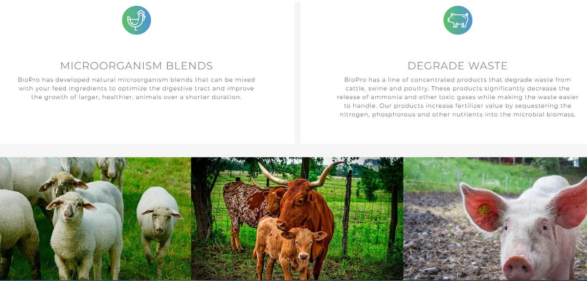 "animal care solutions" "beneficial bacteria for animals" "natural animal supplements