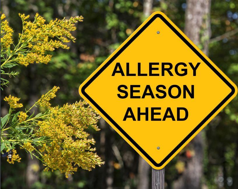 Breathe Easy: The Ultimate Sinus Relief Collection - Biopro Solution