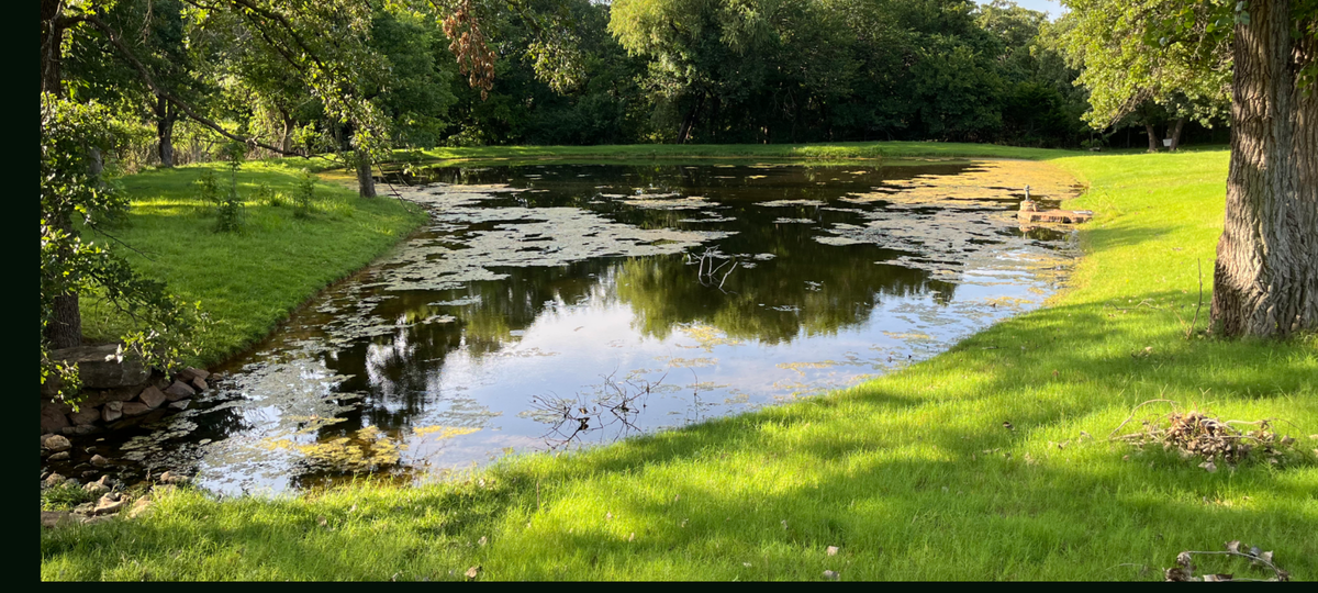 A scenic view of a small pond surrounded by a lush green lawn and trees, with reflections of the sky and foliage on the water surface.
