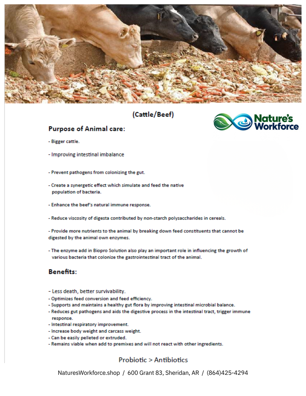 A branded informational sheet for Nature's Workforce probiotic, featuring a large photo of cattle eating hay at the top and text below detailing the purpose and benefits of animal care.