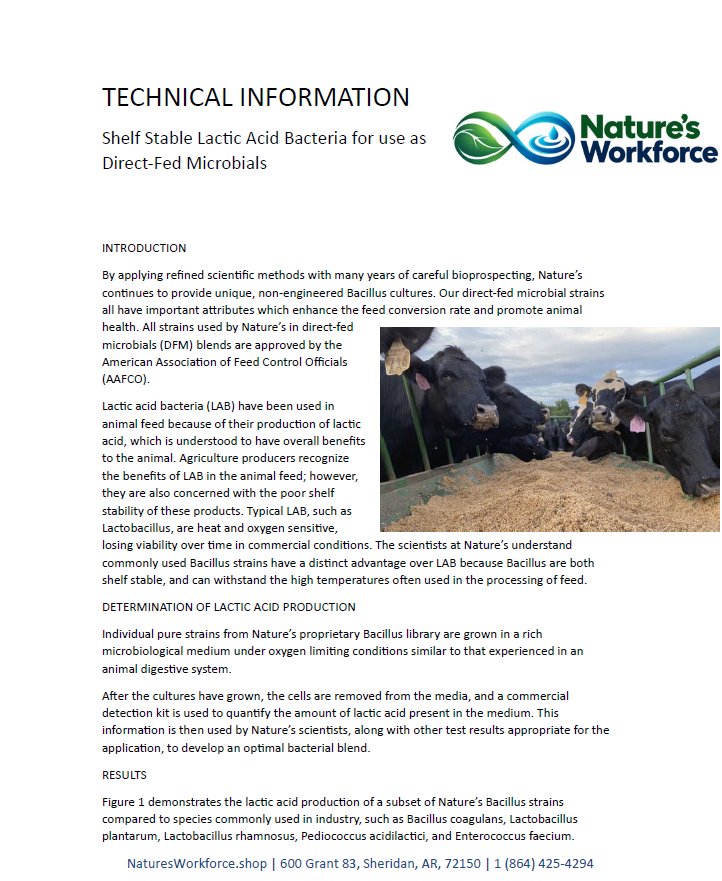 A technical information page from Nature's Workforce detailing the use of direct-fed microbials for shelf-stable lactic acid bacteria in animal feed. The page features black text on a white background with the Nature's Workforce logo in the top right corner.