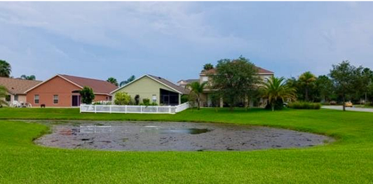 A large green lawn with a small muddy pond in the foreground, with residential houses, trees, and a blue sky in the background.