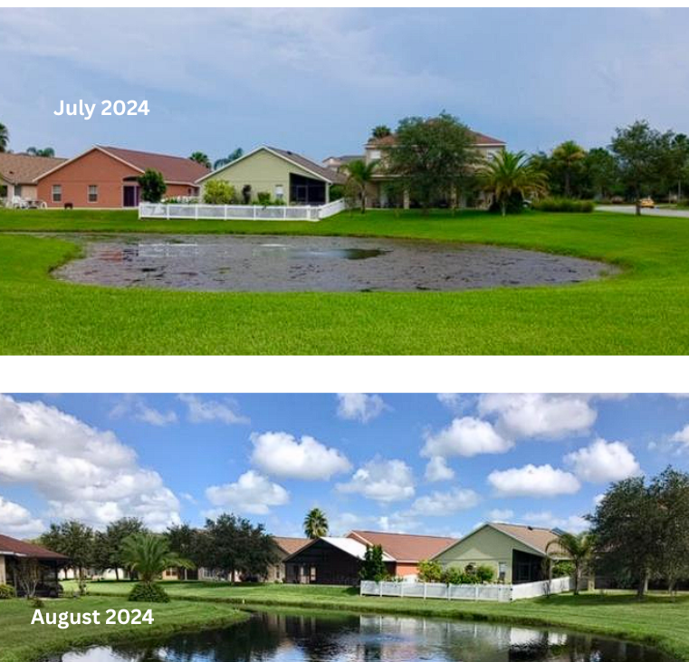 Comparison of a residential area with and without a pond between July and August 2024.