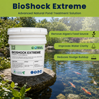 A white plastic bucket of Nature’s Workforce BioShock Extreme pond treatment beside a koi pond, alongside green promotional text highlighting benefits like removing algae's food source and improving water clarity.