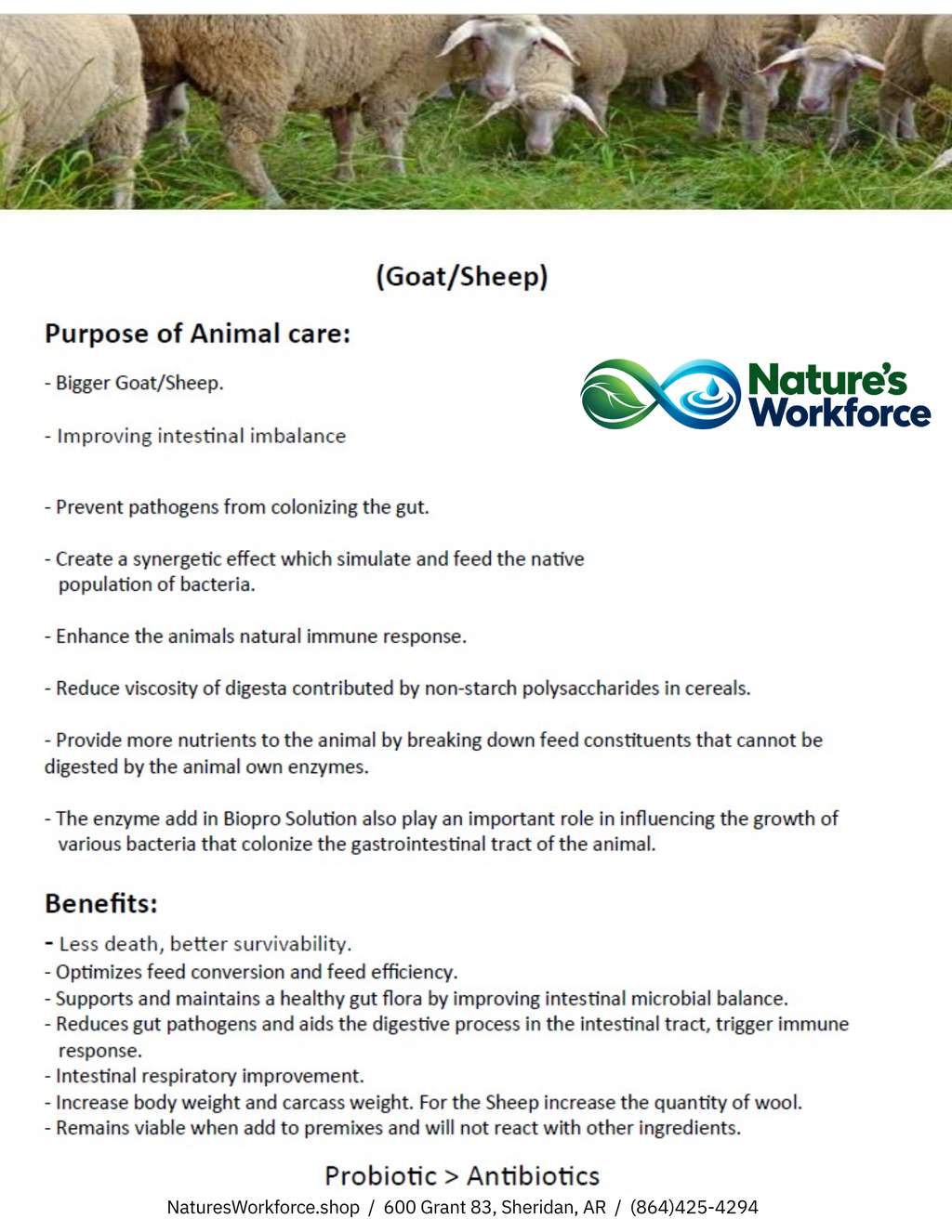 Nature's Workforce Goat & Sheep Probiotic Supplement