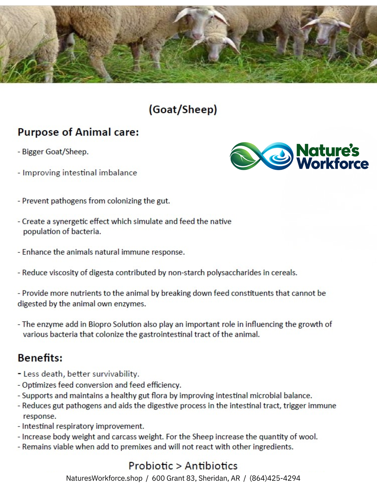 Nature's Workforce Goat & Sheep Probiotic Supplement