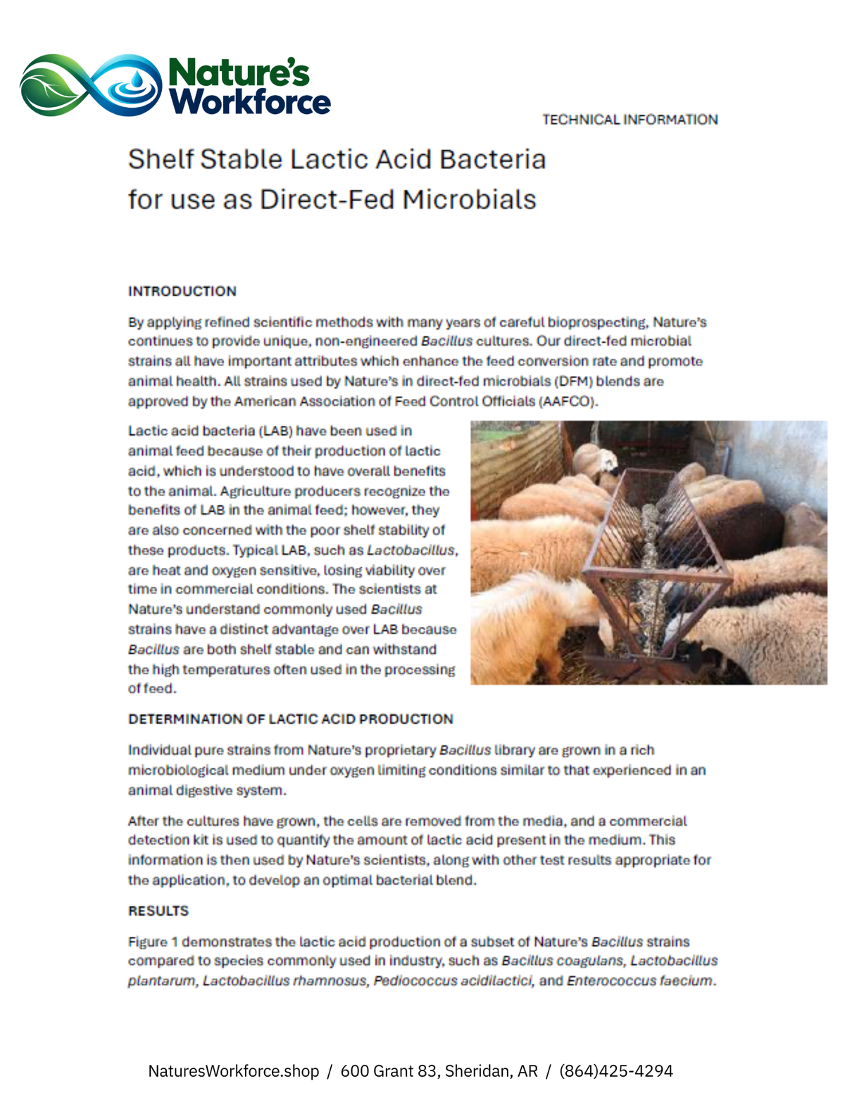Nature's Workforce Goat & Sheep Probiotic Supplement