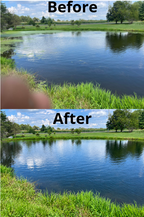 A split-screen before-and-after comparison of a pond or lake, with grassy banks and trees in the background. The top half is labeled 'Before' and appears slightly murky or less polished, while the bottom half is labeled 'After' and looks clearer and brighter.