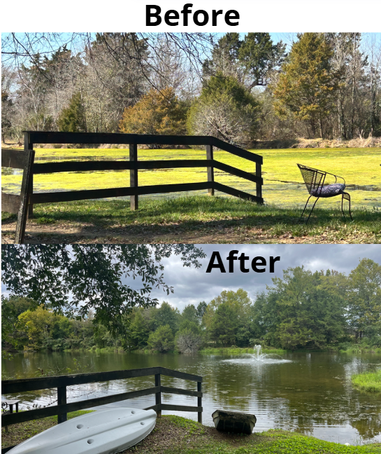 A before-and-after comparison collage showing a black wooden fence and a black outdoor chair in a grassy field, with trees and a pond visible in the background. The top panel is labeled 'Before' and shows the chair and fence in daylight.