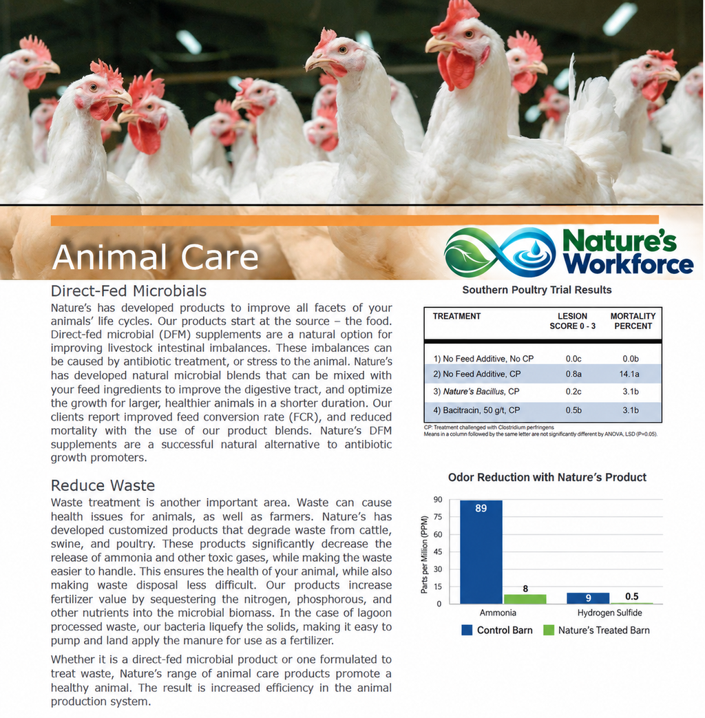 Nature's Workforce Poultry Probiotic Supplement