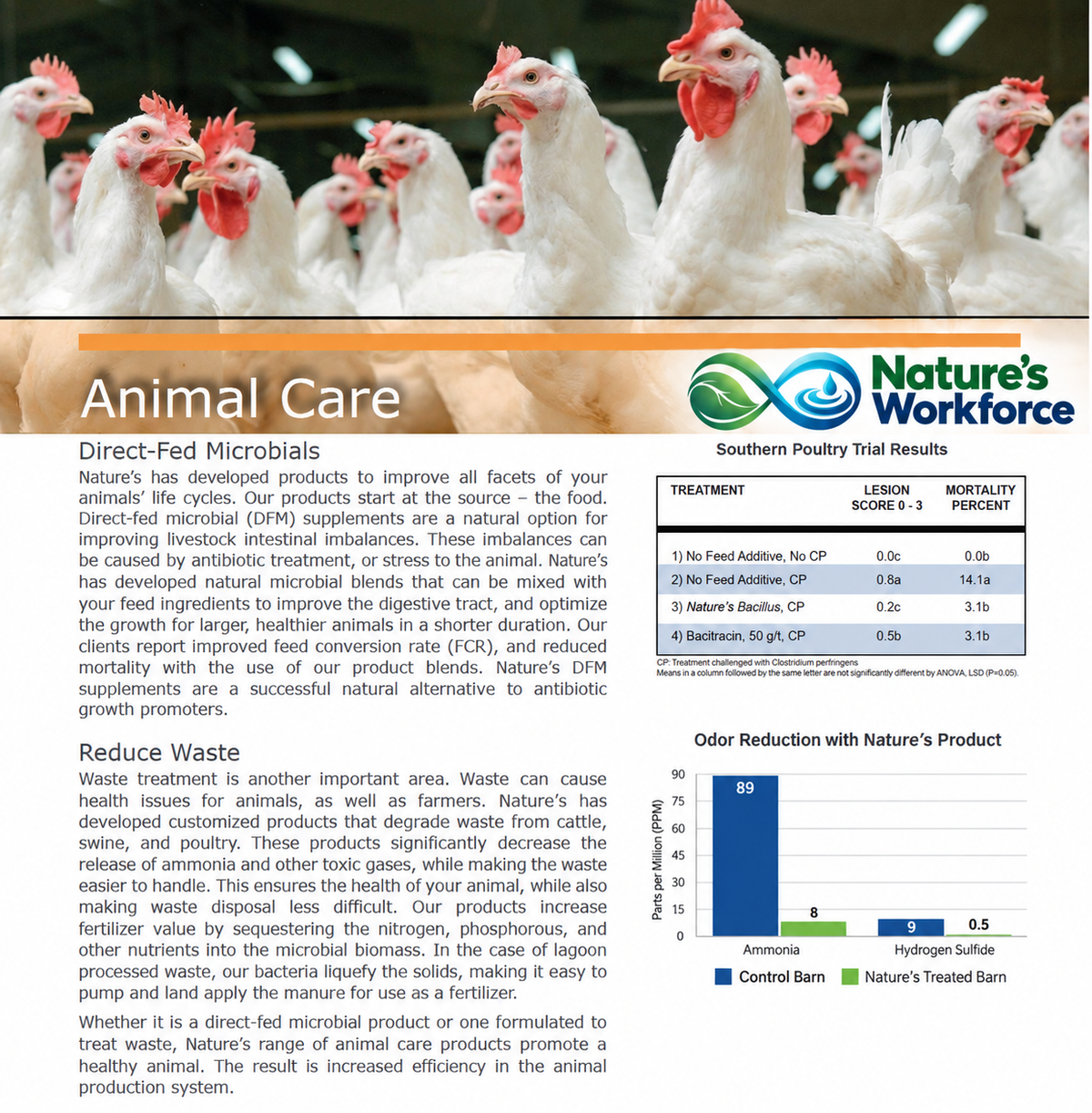 Nature's Workforce Poultry Probiotic Supplement