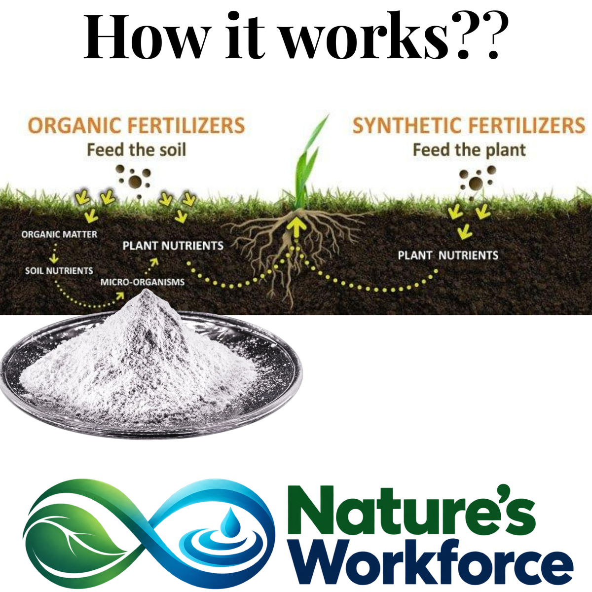 An infographic titled 'How it works??' comparing organic and synthetic fertilizers, with a photo of a white powder product in a bowl below. The top half shows a cross-section of grass and soil with arrows and labels explaining how nutrients feed the plant, and the bottom half shows the Nature's Workforce logo.