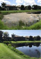 A - Bioshock Extreme, pond/lake management, natural way to remove algae, beneficial bacteria - Nature's Workforce