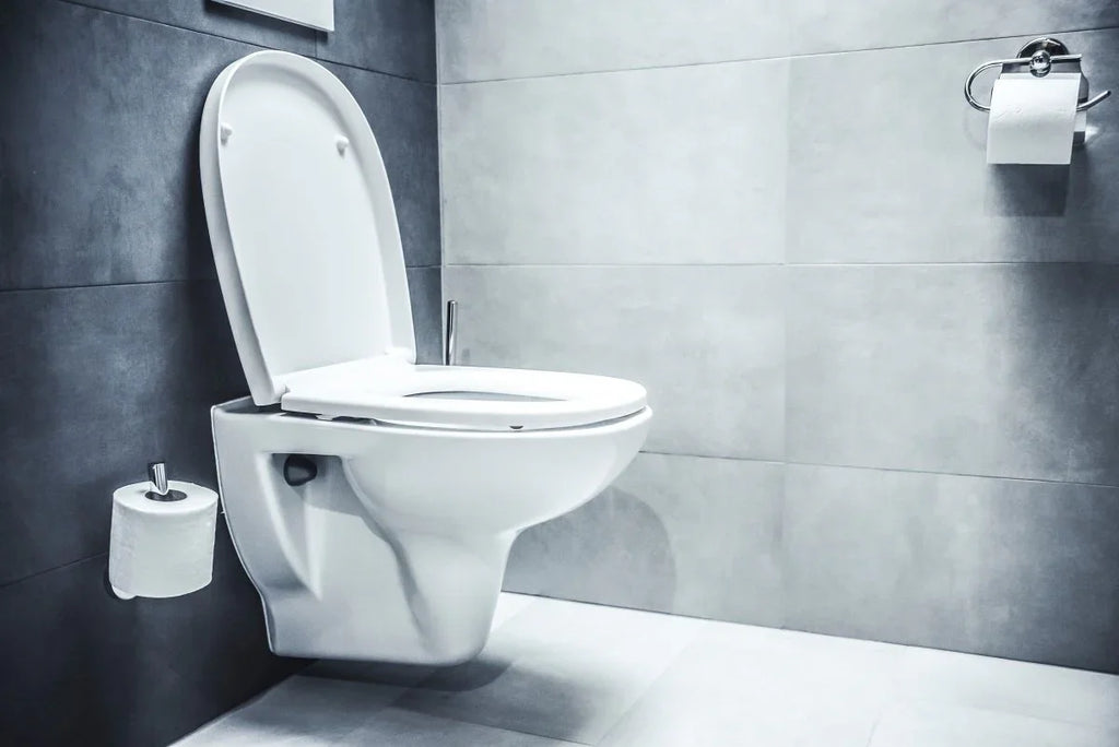 BioZyme, the Future of Cleaning: How Probiotic Technology Delivers a Safer, Longer - Lasting Clean - Biopro Solution
