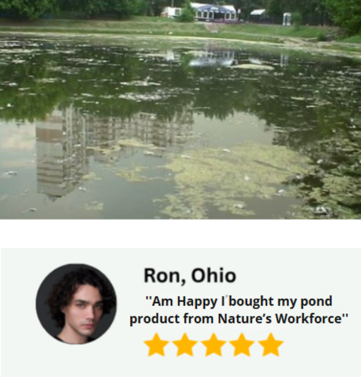 A split image showing a murky pond with green algae and reflections above, and a customer review below for 'Nature's Workforce' from Ron, Ohio, featuring a profile photo and five yellow stars.