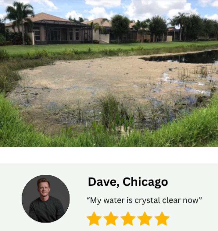 A before-and-after style comparison image showing a murky, algae-filled pond in the top photo and a clean, clear pond in the bottom photo, with a customer review from Dave, Chicago at the bottom.