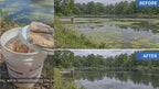 BioShock Extreme, before and after, proud to use sustainable solution to remove algae. 